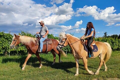 Horseback Ridning med vinsmagning i Gardasøens vingårde
