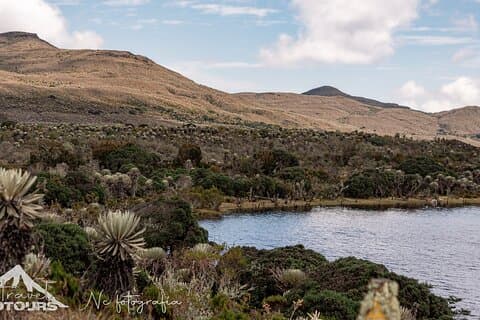 Tour zum magischen Moorland von Sumapaz - Vogelbeobachtung Einzigartige Arten