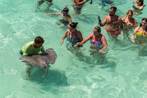Private Tour: Stingray City und ein Schnorchelstopp