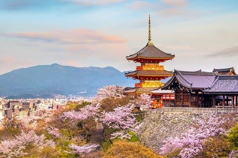 Osaka & Kyoto & Nara Top Destaques Tour de língua inglesa