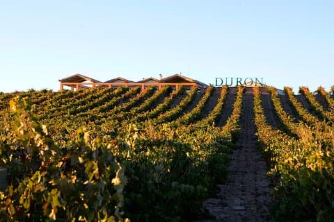 Full day at the winery, visit, tasting, aperitif and lunch