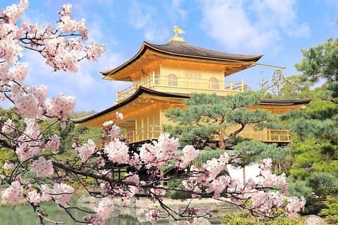 Osaka & Kyoto Highlights Tour med traditionel Kimono Experience