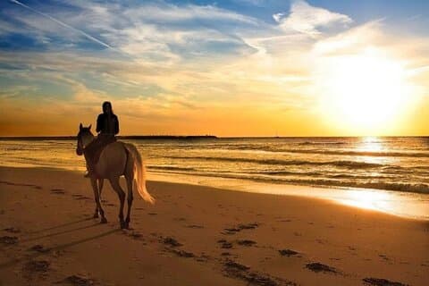 Sunset Beach Hestetur Phuket