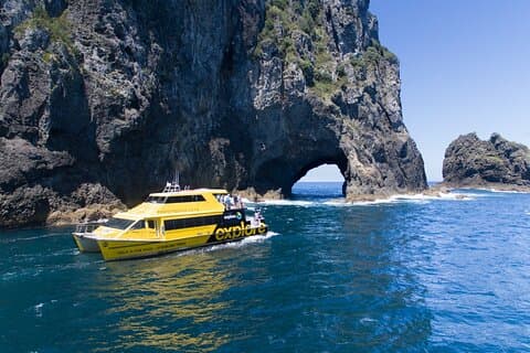 Bay of Island-dagtour met Hole in the Rock-cruise vanuit Auckland