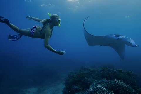 Desde Bali: tour de snorkel y isla en Nusa Penida