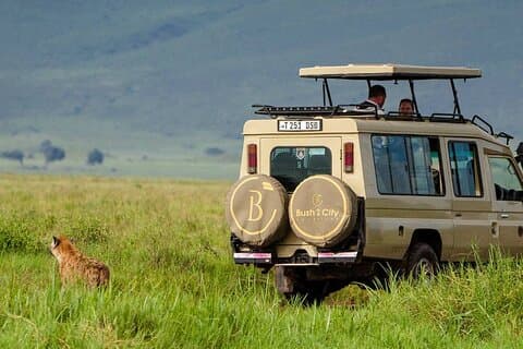 6-Day Tanzania Safari Experience – Midrange