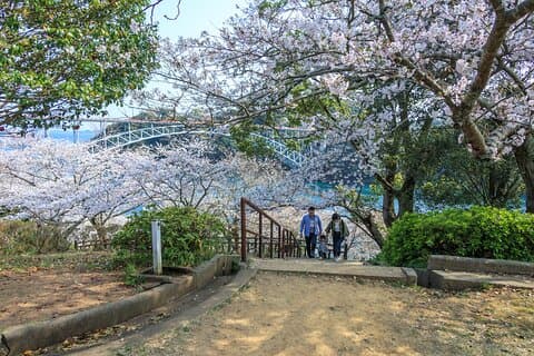 Sasebo privat anpassningsbar heldagstur