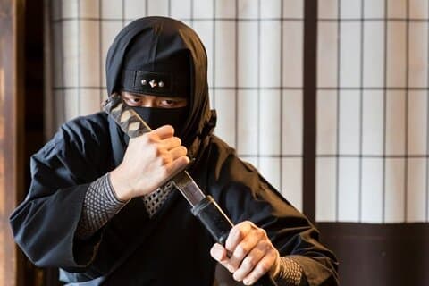 From Nagoya: Myths and Mystery of Ninja and the Tokaido Road