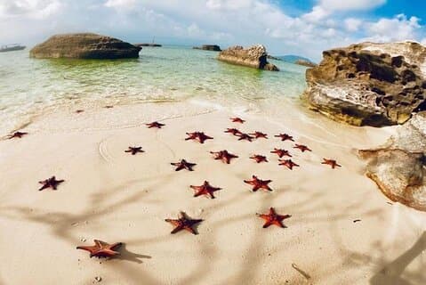 Oplev kajaksejlads med Starfish Beach og Bee Farm i Phu Quoc