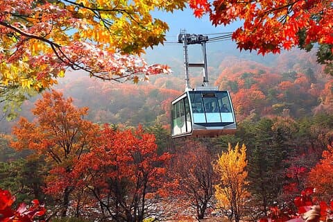 Hoteller i nærheten av Autumn Foliage-Mt. Seorak, Sokcho Fish Market