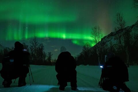 Tromsø: Express Aurora Hunt med vandrende ugle