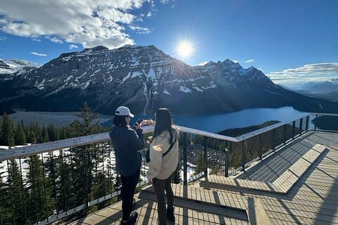 Lake Louise Peyto Lake Bow Lake Crowfoot Glacier Half Day Tour