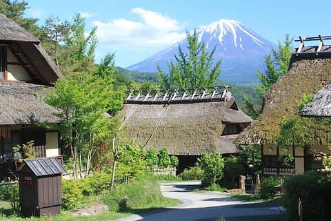 Opplev den fantastiske naturen til Mt.Fuji - privat tur