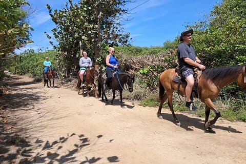 Roatan Half-Day Horseback, Zip Line Wildlife & Snorkel Combo