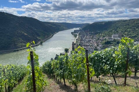 The Fairytale Rhine Valley Castle Tour