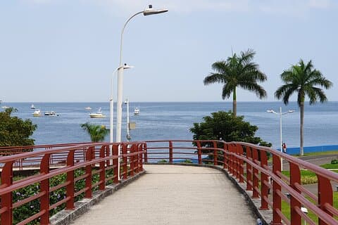 Tour Privado Trilha do Parque Metropolitano da Cidade do Panamá