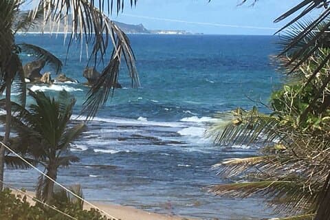 The Private Grand Island Tour Of Barbados