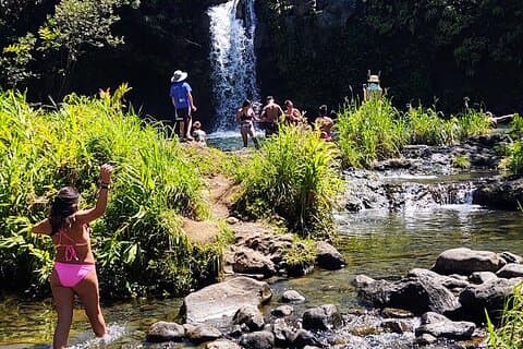 A mitad de camino a Hana Tour privado Maui BlackBeach Cascadas Tortugas