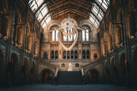 Museo de Historia Natural de Londres