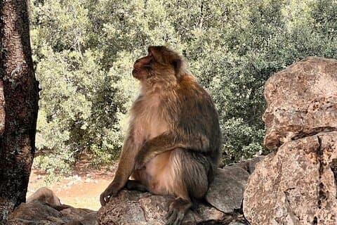 4 Day Fez Middle Atlas Immerse Yourself in Nature and Culture