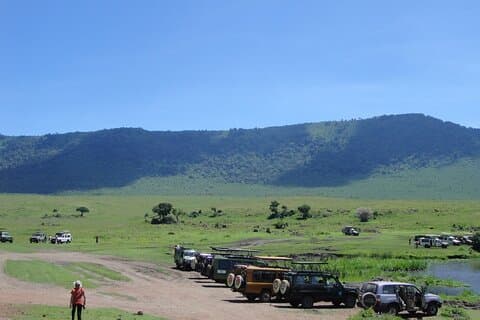 3-dagars privat Serengeti National Park Tour från Zanzibar med flyg