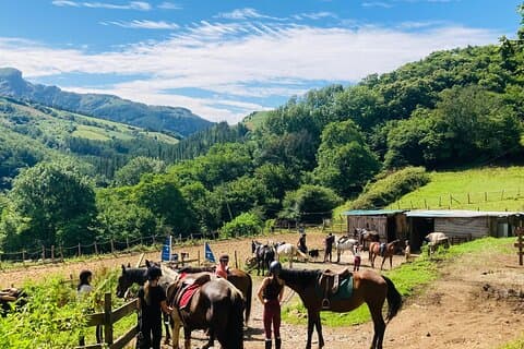 Explore montanhas cênicas e passeios a cavalo