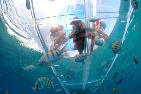 Ontdek Cozumel in een transparante boot!