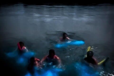 The ULTIMATE Bioluminescence night time adventure with Brandon