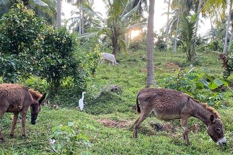 Sirin Park Eco Tour in Sri Lanka
