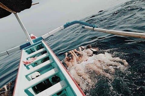 Lovina Osservazione dei delfini e nuoto con i delfini