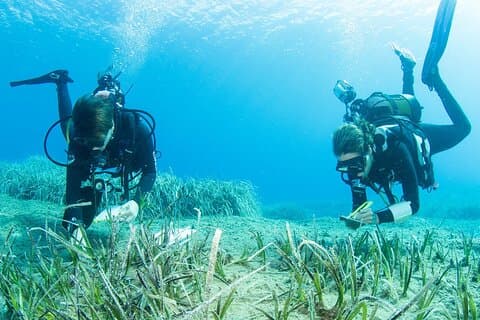 Onderzoek duiken met een zeebioloog op Kreta