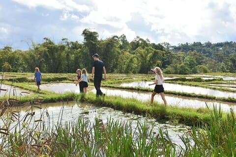 Labuan Bajo Countryside Tour