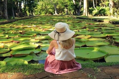 Private Ganztagestour zu den Foto-Spots von Mauritius
