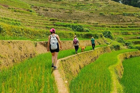 Från Hanoi : 2D1N Mu Cang Chai Privat Trekking & Homestay