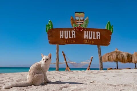 Hula Hula-eiland Snorkeltocht op zee, lunch, watersport-Hurghada
