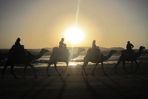 1 Hour Dromedary Ride near Essaouira, Morocco