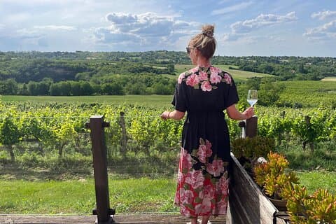 Sremski Karlovci Tour En reise gjennom vingårder og vingård