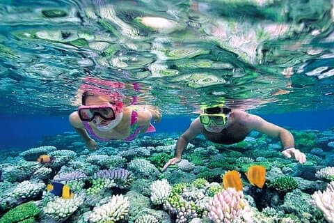 Cham Island Discovery: snorkel-, bezienswaardigheden- en zeevruchtenmenu