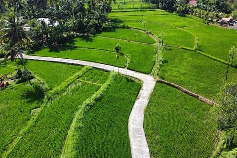 Privat tur i Lombok Local Village