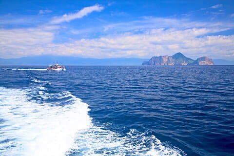 Yilan Whale Watching and Animal Farm Private Tour from Taipei
