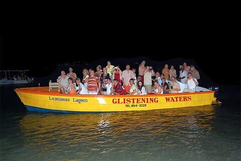 Luminous Lagoon Night Tour från Montego Bay