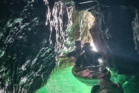 Guided Wildlife & Sea Cave Kayak Safari in English Riviera