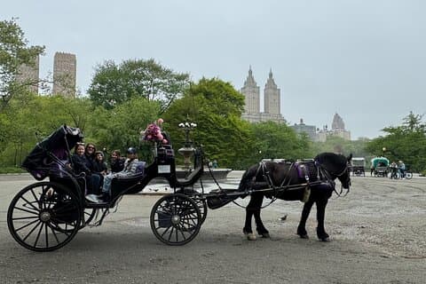 NYC Empire State Horses Promenade en calèche à Central Park (55 minutes)
