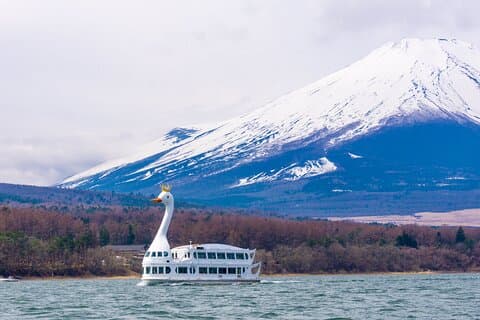 Fra Tokyo: Mount Fuji, krydstogt og Sake Tasting Tour