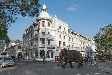 EVERYTHING IN KANDY MULTIPLE OPTIONS ToURS