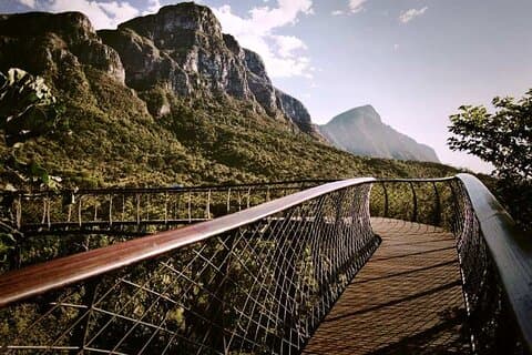 Kirstenbosch Botanical Garden and Constantia Wine Tasting Tour