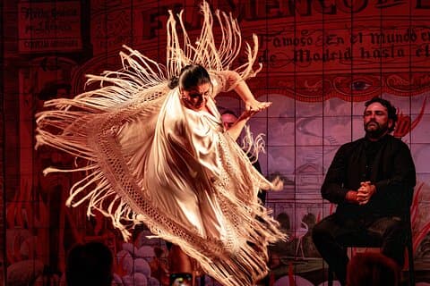 Authentieke Flamencoshow in Flamenco de Leones