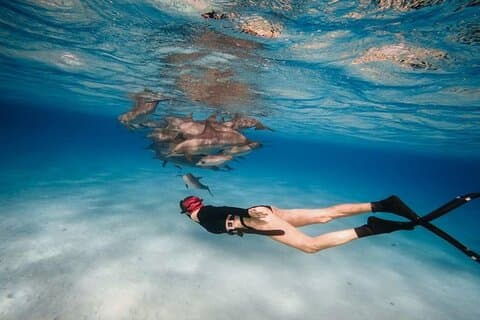 Snorkling på Sataya Dolphin House med lunsj – Marsa Alam