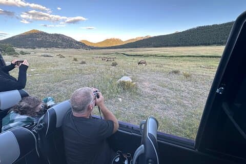 En Rutin 'God Tid; Elk Tour i Rocky Mountain National Park