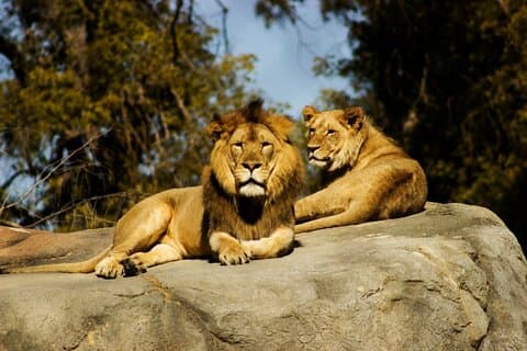 Wildlife and Ancient Expedition Tour i Teotihuacan Safari